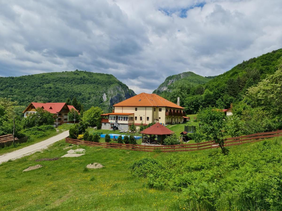 Pensiunea Castania - Pensiune Cu Piscina La Munte Polovragi Exterior photo