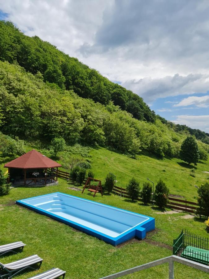 Pensiunea Castania - Pensiune Cu Piscina La Munte Polovragi Exterior photo