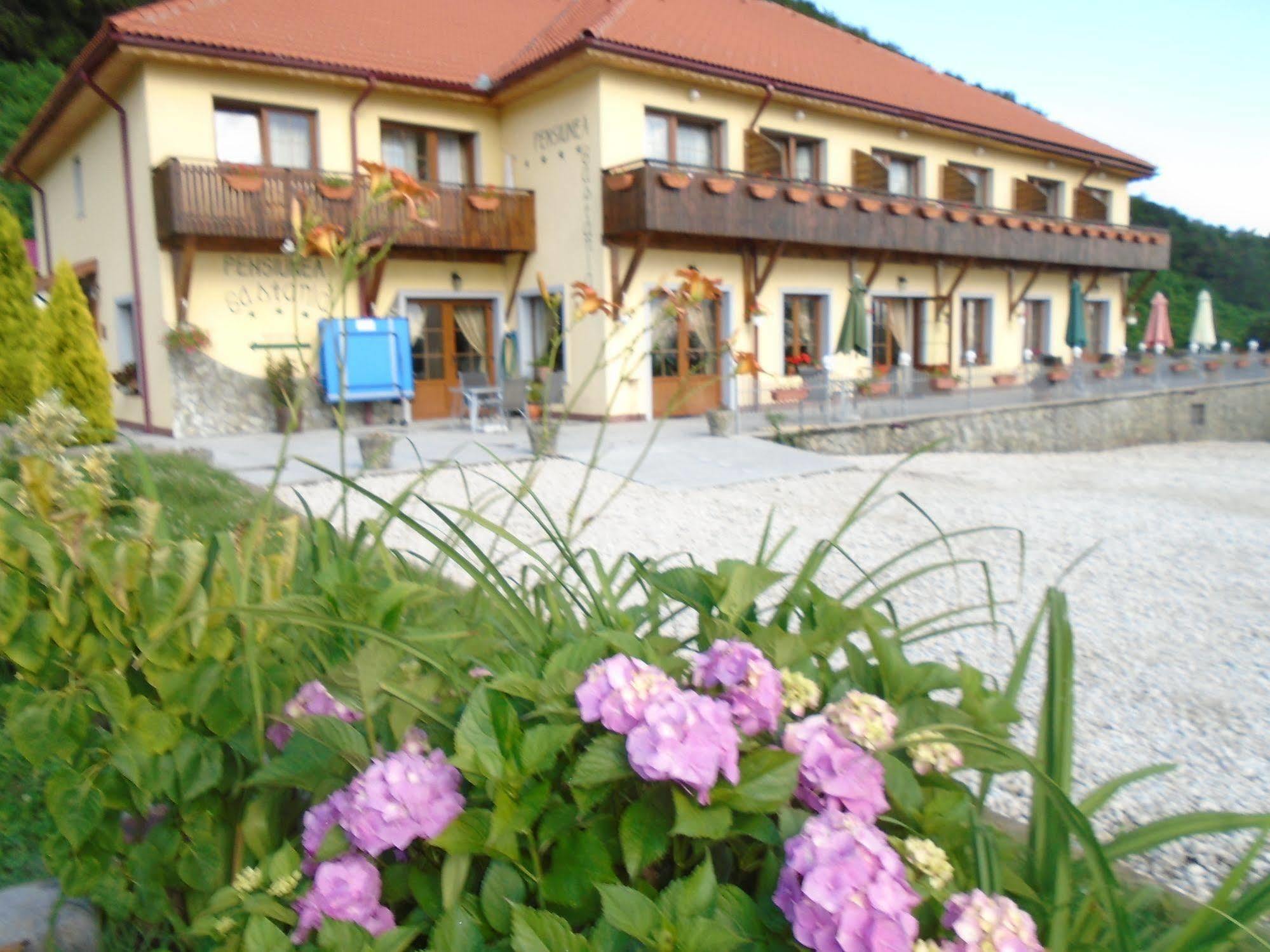 Pensiunea Castania - Pensiune Cu Piscina La Munte Polovragi Exterior photo