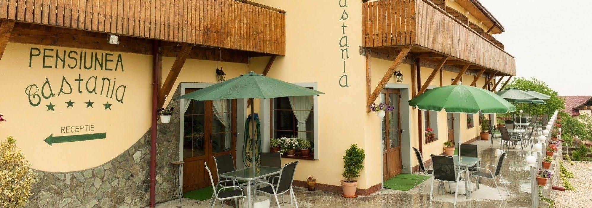Pensiunea Castania - Pensiune Cu Piscina La Munte Polovragi Exterior photo