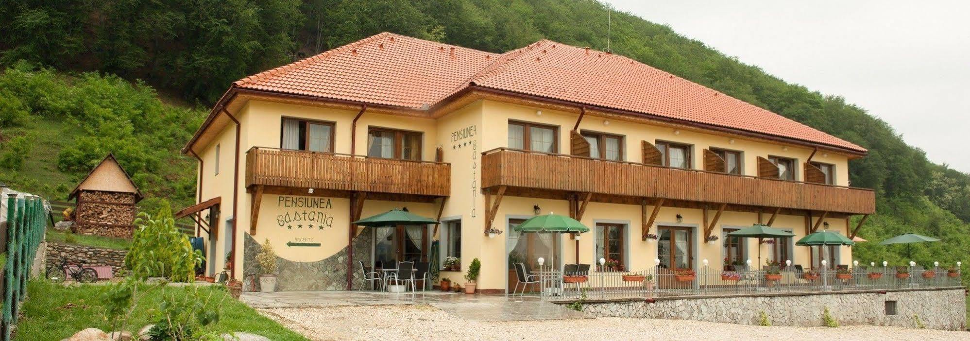 Pensiunea Castania - Pensiune Cu Piscina La Munte Polovragi Exterior photo