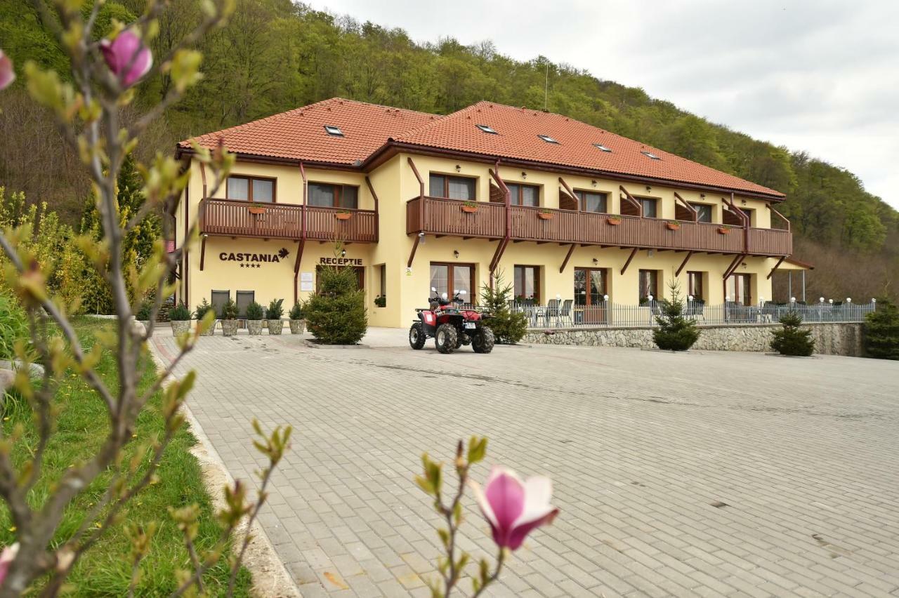 Pensiunea Castania - Pensiune Cu Piscina La Munte Polovragi Exterior photo